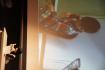 DSC00692.JPG